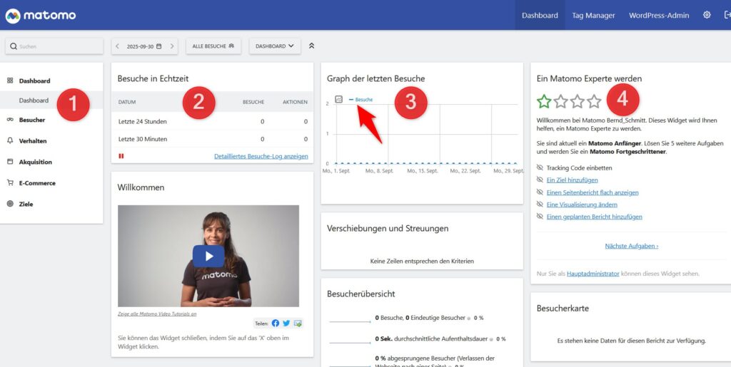 Matomo Dashboard