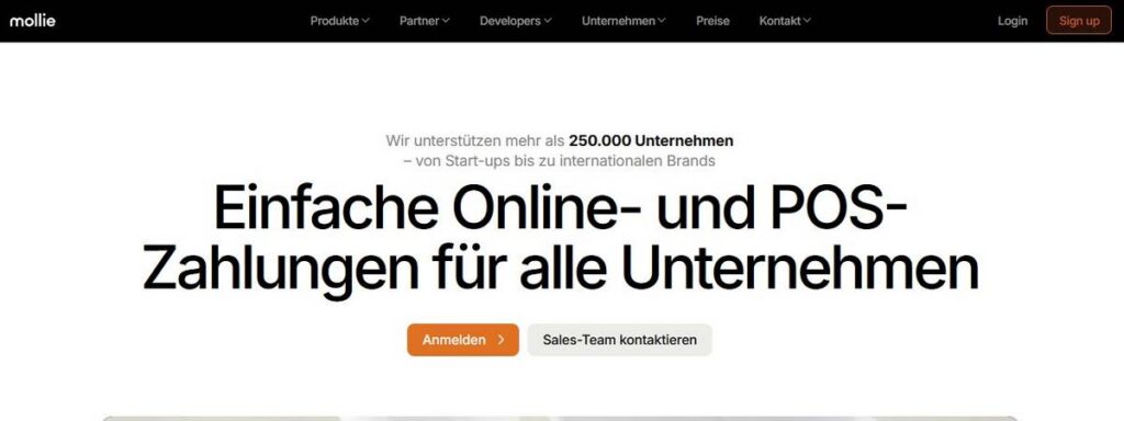 Screenshot Website Mollie