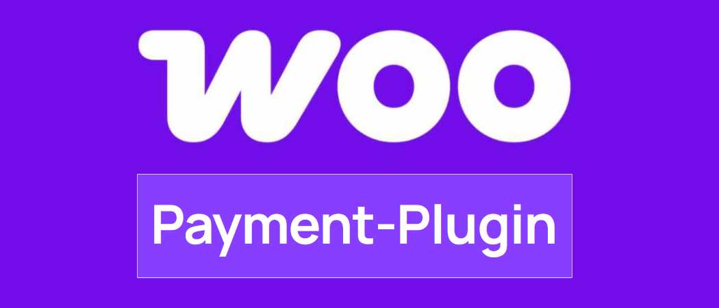 Wo erhalte ich ein Wero-Plugin für Woo?