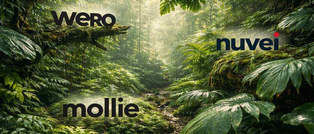 PSP-Vergleich für Wero-Händler