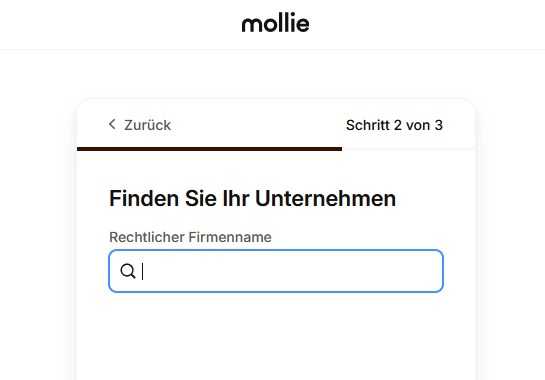 Suchmaske für Unternehmen