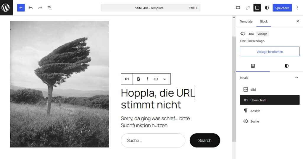 WordPress 404 Templae