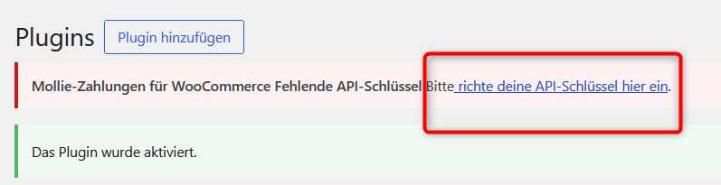 Plugin fordert API-Schlüssel ein