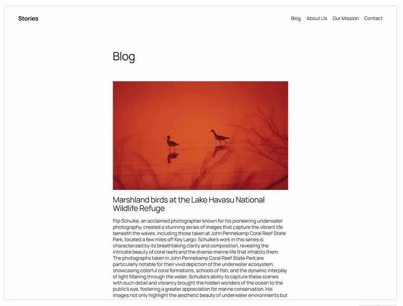 Screenshot WordPress Theme 2025