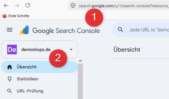 Google Search Console: URL öffnen
