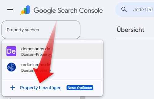 Google Search Console: Property hinzufügen