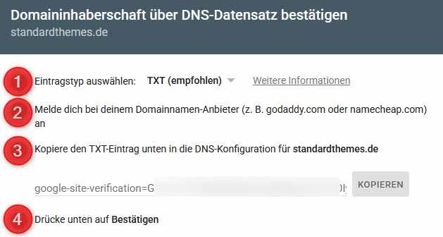 Google Search Console: TXT-Eintrag abrufen
