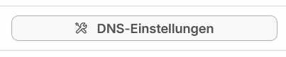 Bei Hoster die DNS-Einstellungen aufrufen